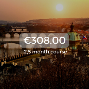 €308.00 2,5 month course