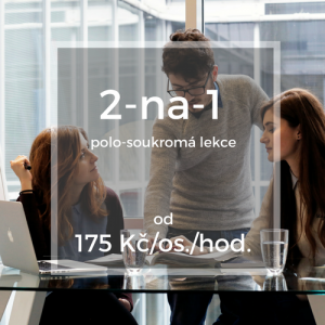 2-na-1 polo-soukromá lekce od 175 Kč/os./hod.